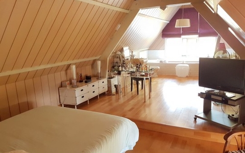 BELLE CHAUMIERE de 340 m² sur PARC de 7254 m²